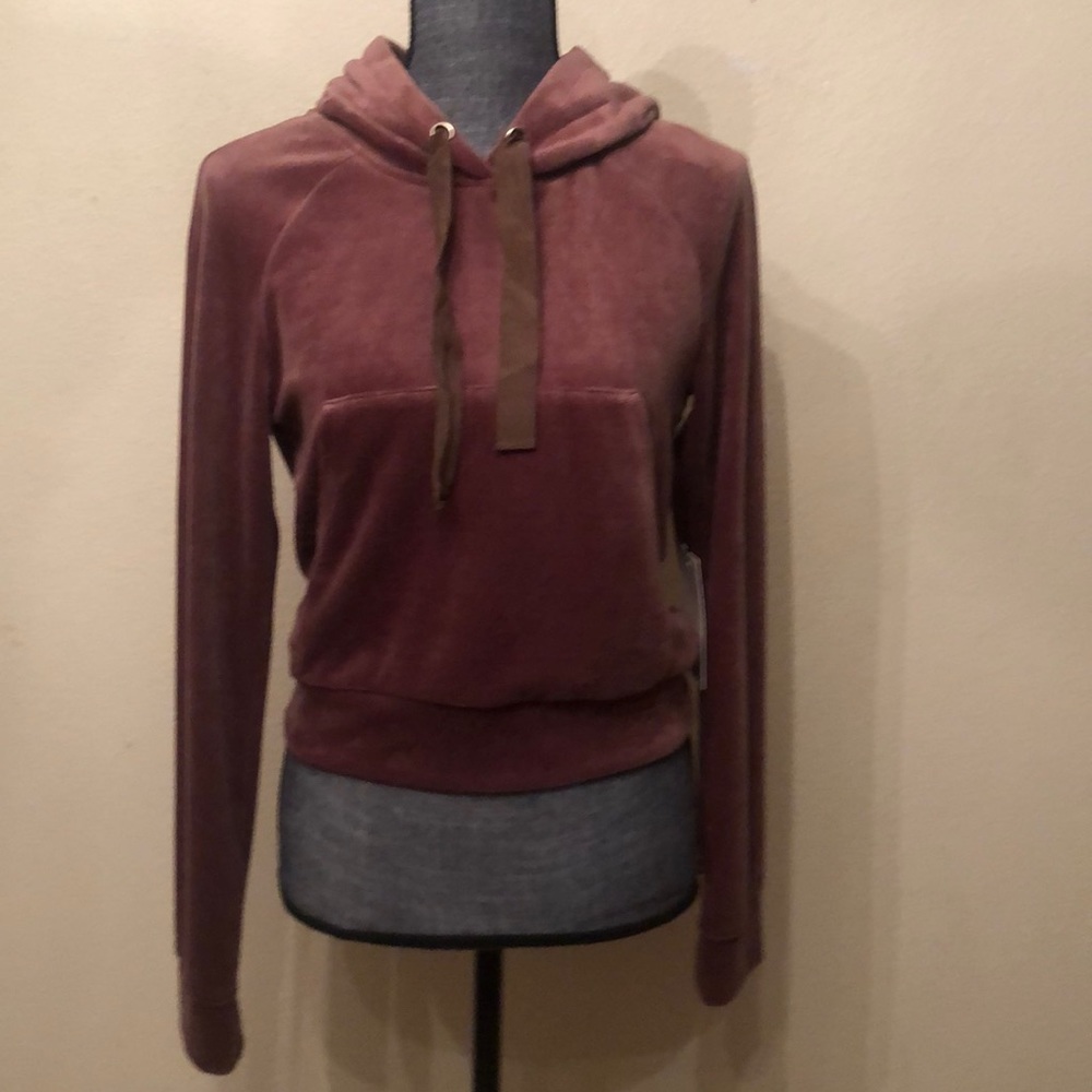 Velvet hoodie
